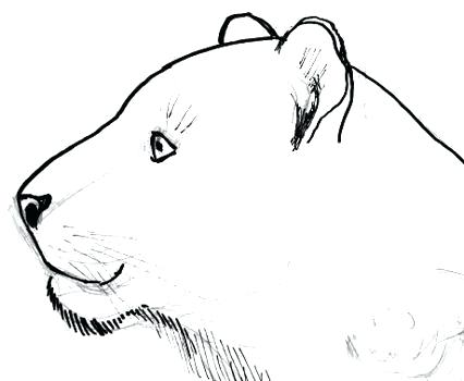 426x350 Draw A Tiger How To Draw A Tiger Children Draw Tiger Easy