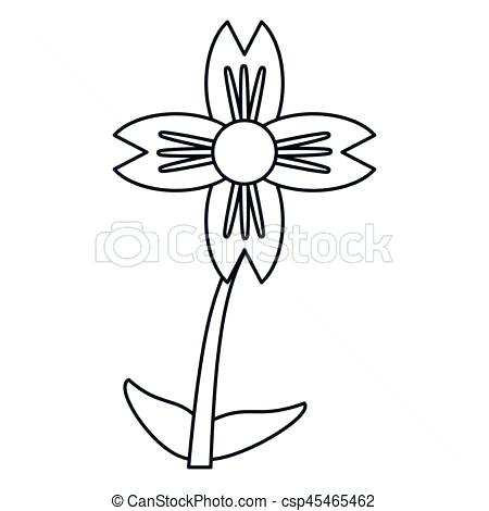 450x470 Easy Flowers To Draw Tiger Lily Flower Drawing Outline Wikipharm