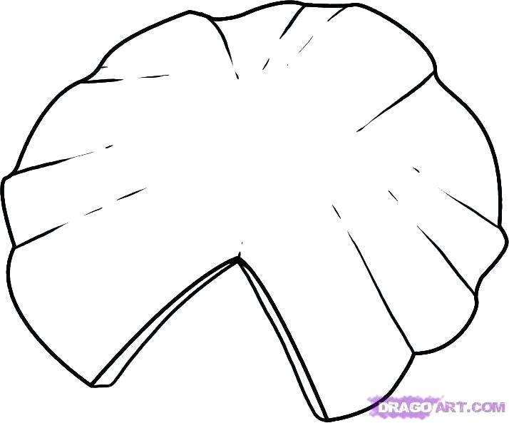 714x593 Easy To Draw Lily How To Draw A Lily Pad Step Easiest Way