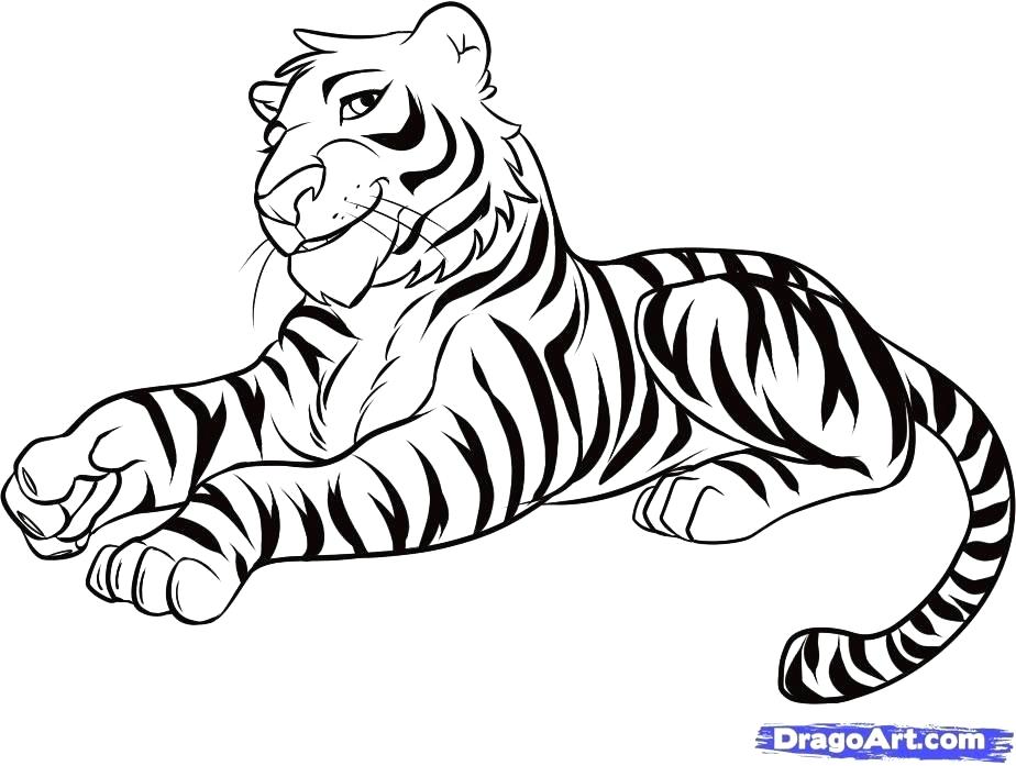 924x697 easy to draw tigers female tiger drawing easy to draw baby tigers