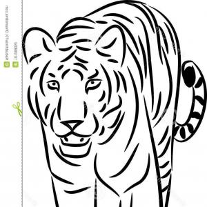 300x300 Png Tiger Line Art Clip Art Tiger Vector Catchsplace