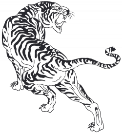250x275 Tigers Drawing Art, Picture