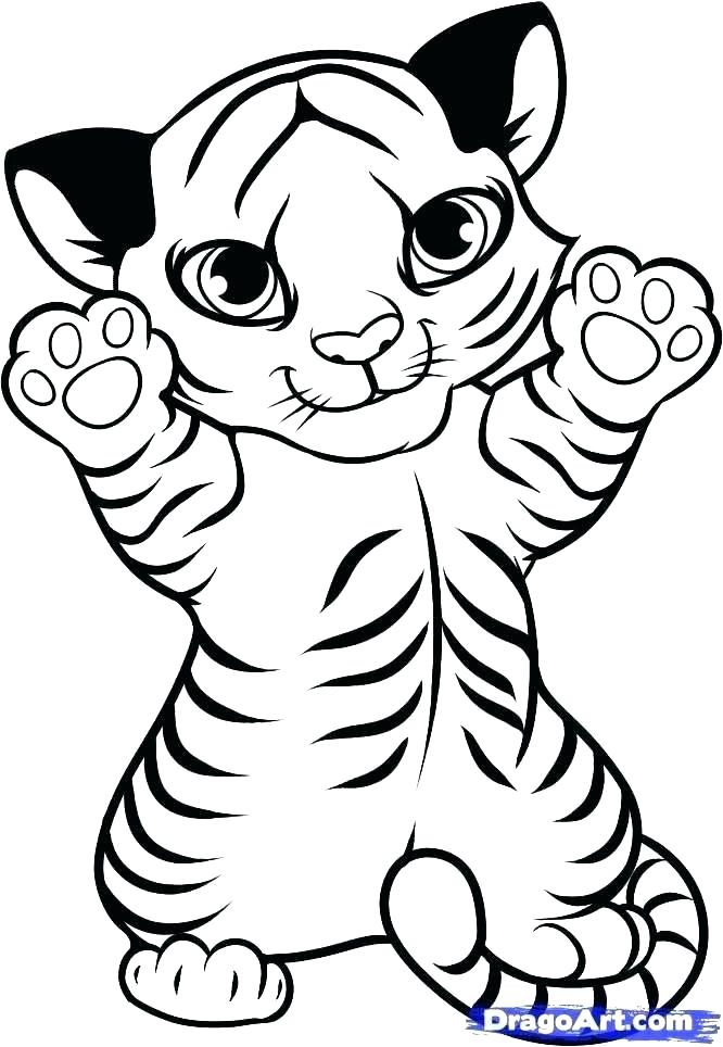  Tiger Line Drawing Free download on ClipArtMag