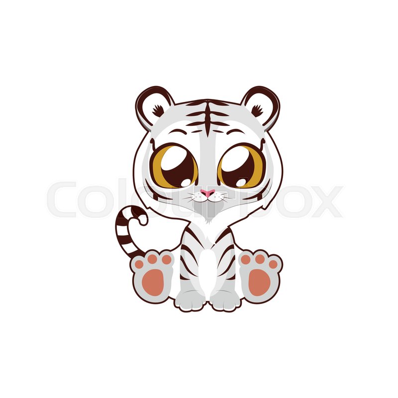 800x800 Cute White Tiger Vector Illustration Stock Vector Colourbox