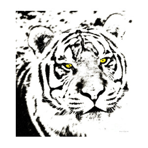 300x300 Golden Eyed Tiger Pen And Ink