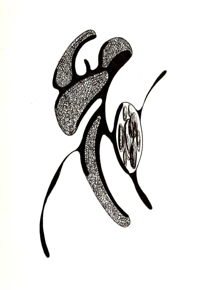 770x1125 Sketch Drawing