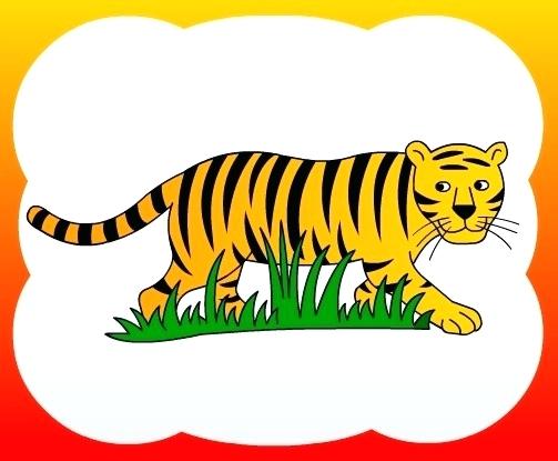 503x415 Draw Tiger For Kids A Realistic Drawing Of Tiger Coloring