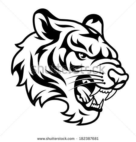 450x470 Roaring Tiger Stock Photos Images Pictures Shutterstock Pola
