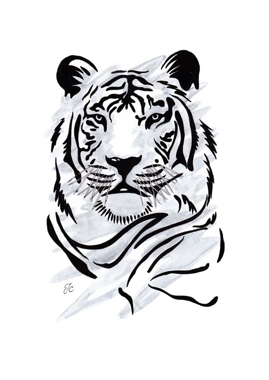 550x778 tiger i want my cousin to draw this so bad art