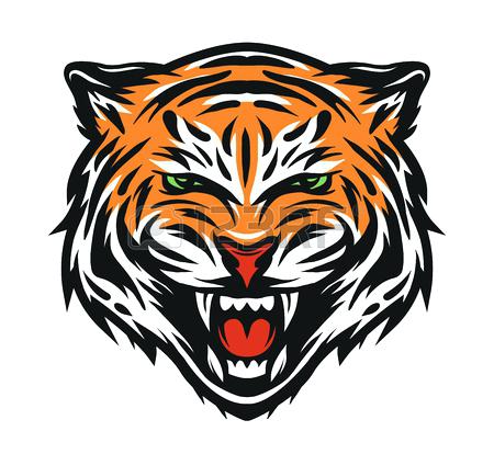 450x414 Tiger Drawing Female Step