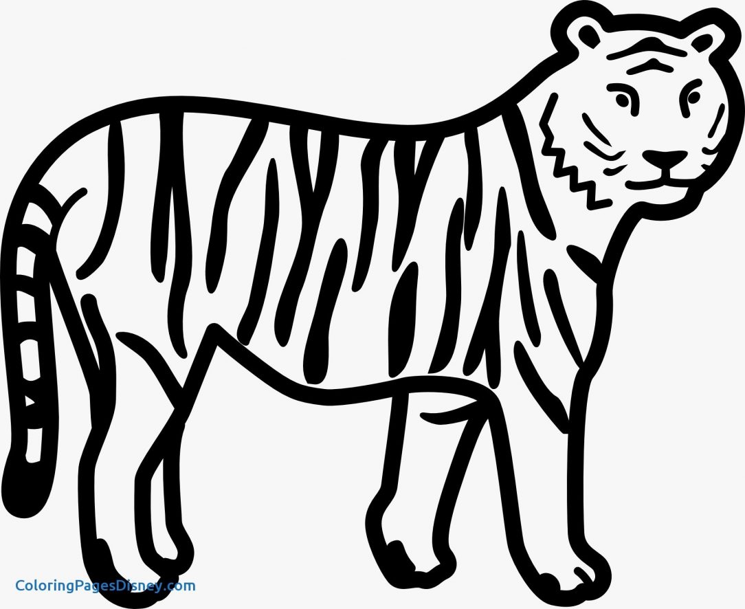 1084x886 Coloring Pages Of Realistic A Bengal Tiger Animals White Cubs Free