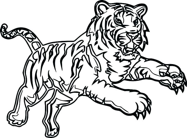 728x536 Coloring Pages Of Tigers Coloring Pages Tiger Coloring Pages Tiger