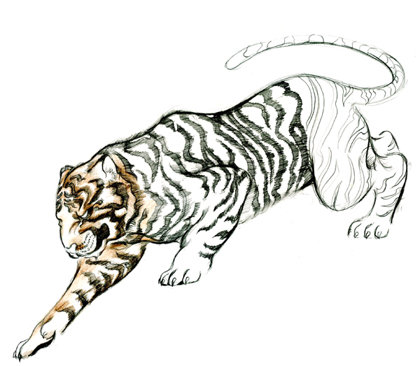 600x523 How To Draw A Tattoo Style Tiger With Colored Pencils
