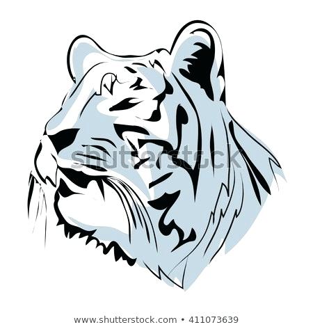 450x470 Draw Tiger Face