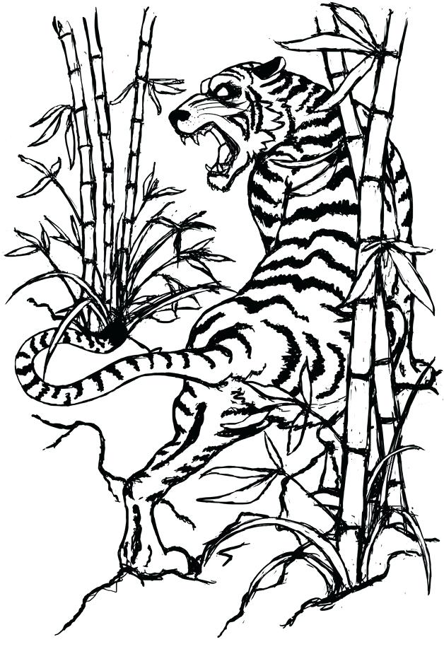 628x942 Free Tiger Paw Outline Download Free Clip Art Free Clip Art