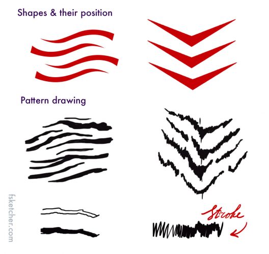 528x500 Tiger Print Drawing Tutorial