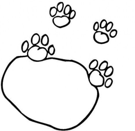 465x453 Tiger Paw Coloring