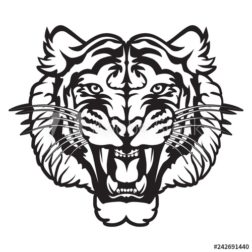500x500 Tiger Angry Face Tattoo Vector Illustration Of Big Cat Head