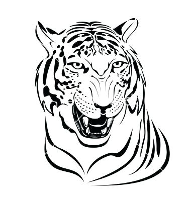 380x400 Tiger Pictures To Print Tiger Pictures To Print Socalled Free