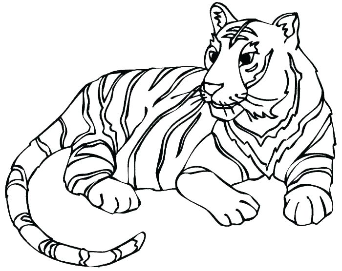 Tiger Print Drawing | Free download on ClipArtMag