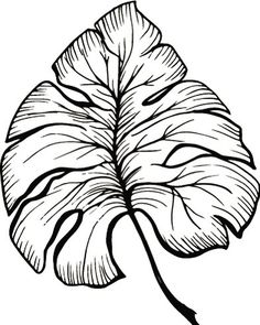 236x295 Beautiful Line Drawing