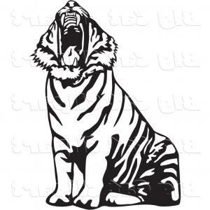 Tiger Profile Drawing | Free download on ClipArtMag