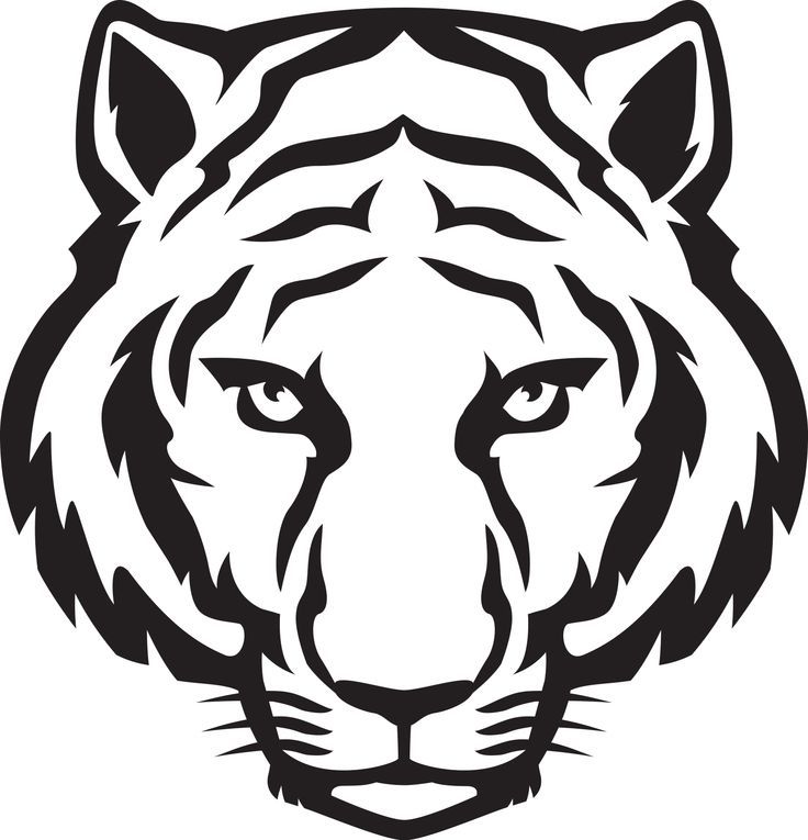 736x765 White Tiger Face Printables