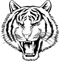193x199 Roaring Tiger Stock Vectors