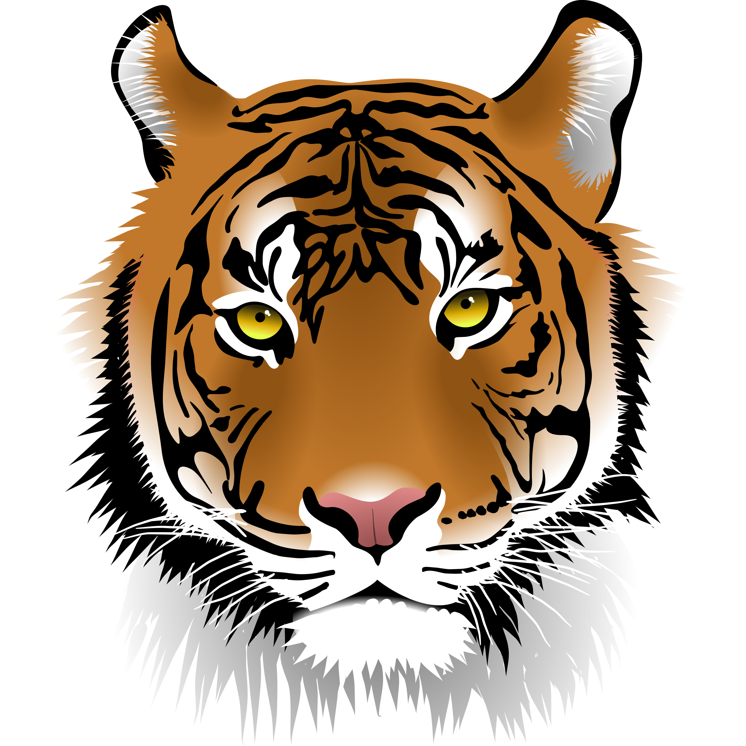 2400x2400 Roaring Tiger Png, Picture