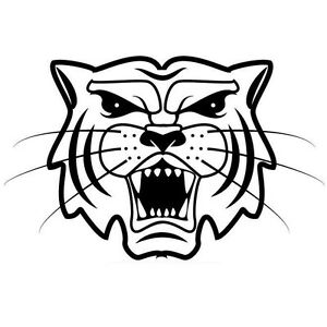 300x300 Tiger Roaring Faceanimals, Car Decal Sticker Ebay