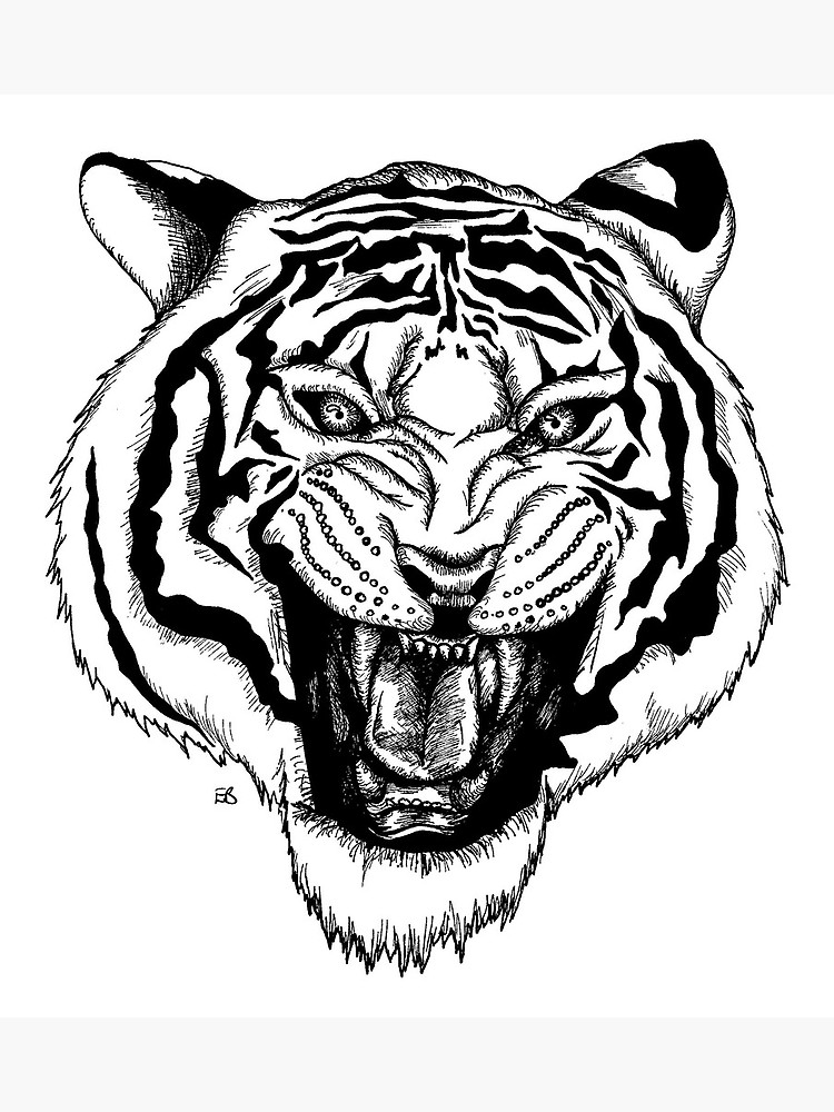 750x1000 Tiger Roar Photographic Print