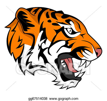 450x427 Tiger Roaring Drawing