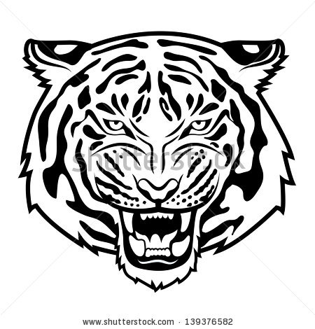 450x470 White Tiger Roar Drawing