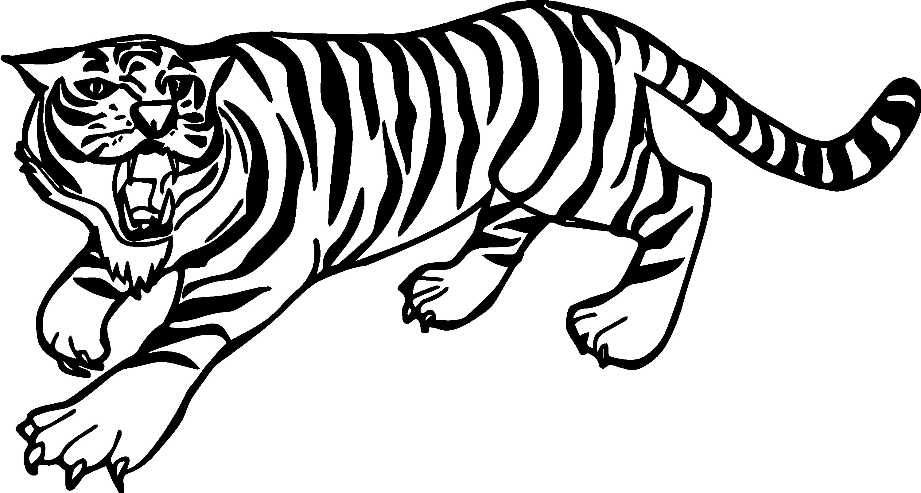 3000x1606 Animal Drawings Easy Tiger