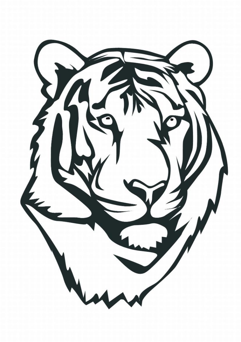 829x1176 Tiger Drawing Head For Free Download