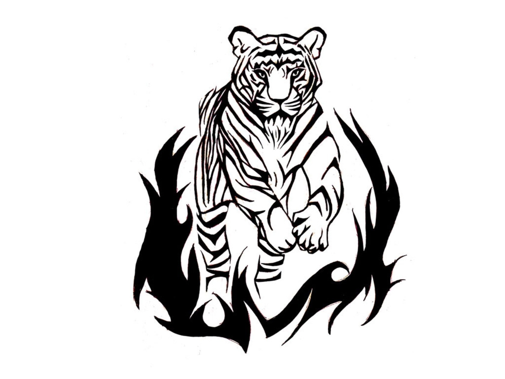 1680x1260 Line Drawings Tiger Eyes Tattoos Ideas And Designs