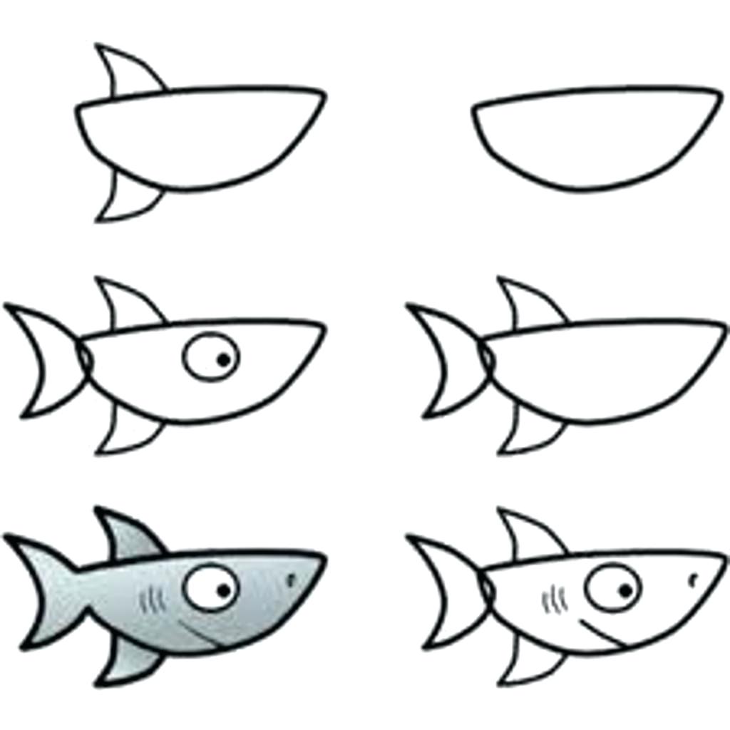 1024x1024 Easy To Draw Shark How To Draw A Shark Step