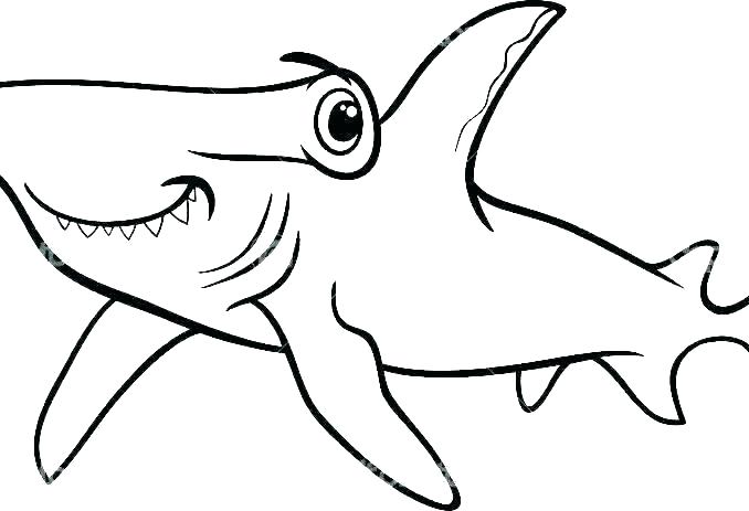 Tiger Shark Drawing | Free download on ClipArtMag