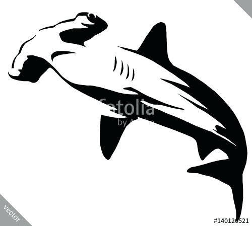 500x449 How To Draw A Hammer Head Shark