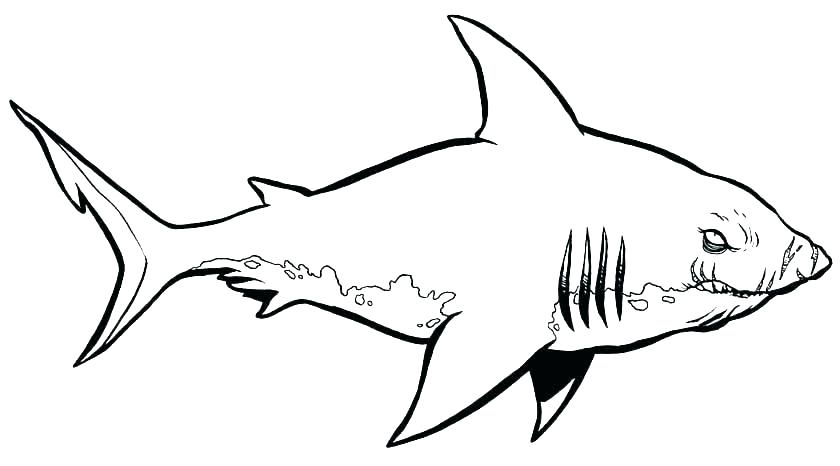 840x466 Shark Colouring Pages