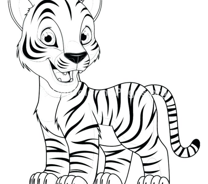 678x600 Tiger To Colour In Tiger Zodiac Lucky Colors