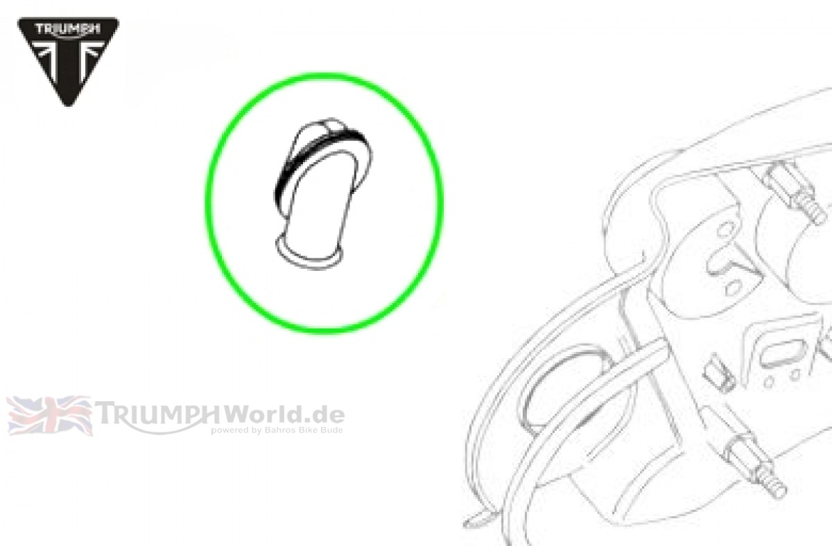 1200x788 Triumph Tiger Cap Expansion Tank Tiger