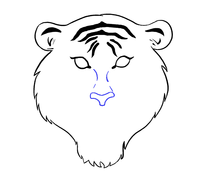 678x600 Tiger Drawing Nose For Free Download