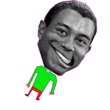 366x367 Tiger Woods Content Sticker For Ios Android Giphy