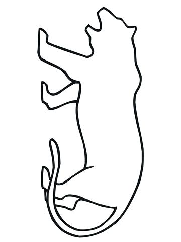 360x480 Tigger Outline Tiger Outline Coloring