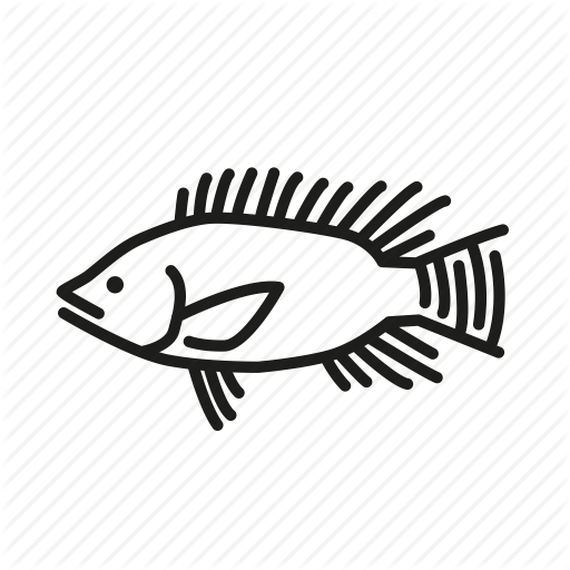 512x512 Fish, Fishes, Fishing, Ocean Life, Sea Creature, Tilapia Icon