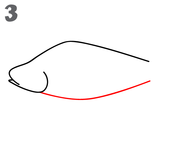 622x484 How To Draw A Fish