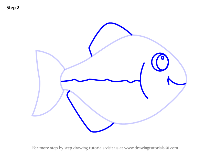 844x598 Learn How To Draw A Silver Dollar Fish For Kids