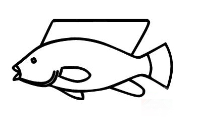 390x249 Tilapia Facts Lowlands Community Garden