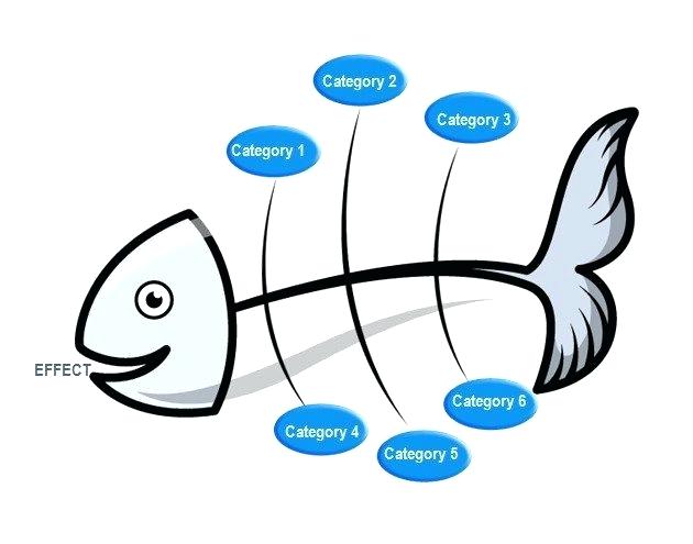 630x495 Fish Diagram Labeled Bony Fish Pictures And Diagrams Bony Fish